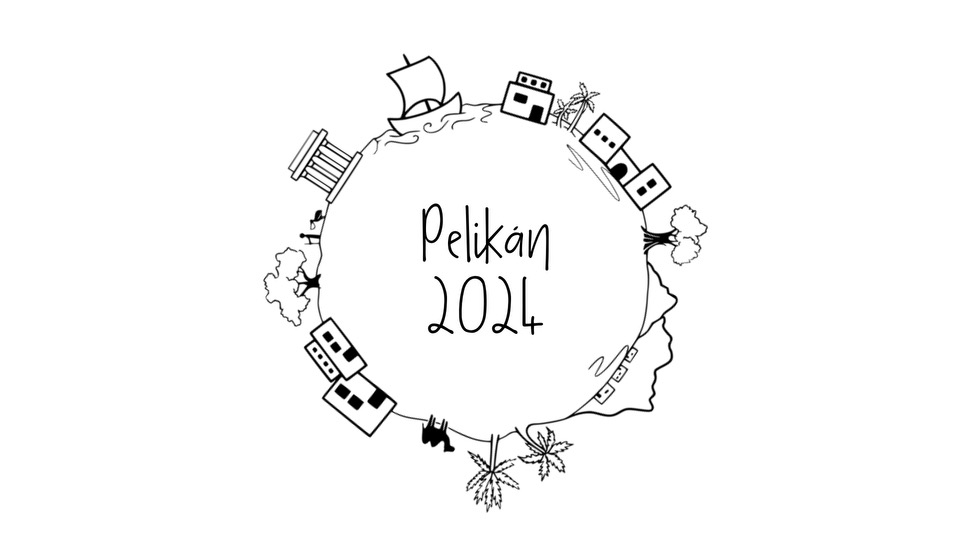 Pelikán 2024