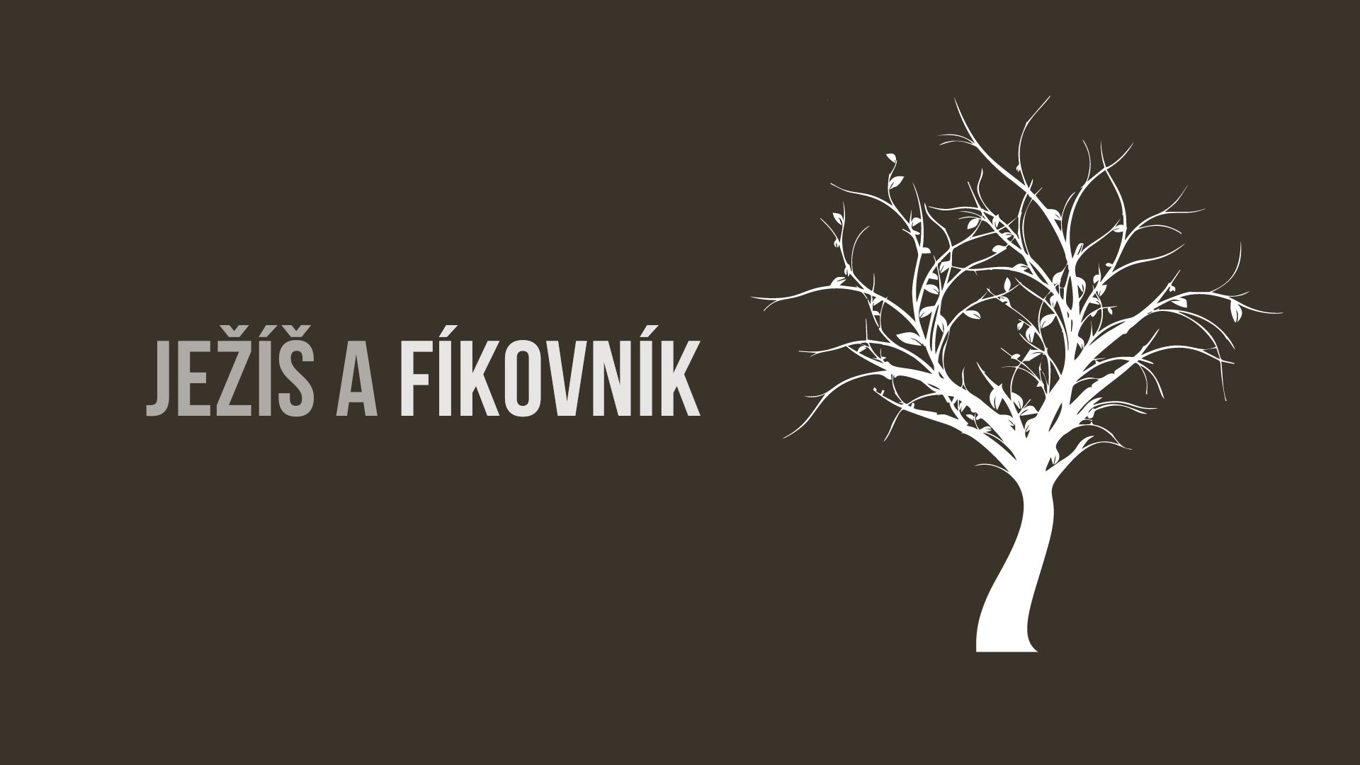 Proč Ježíš zahubil fíkovník?